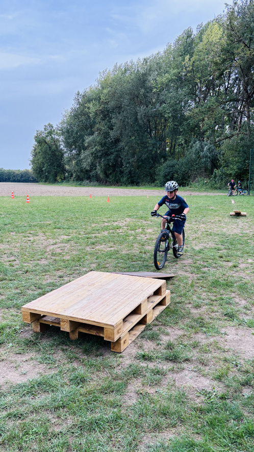 Dillingen Basic 1