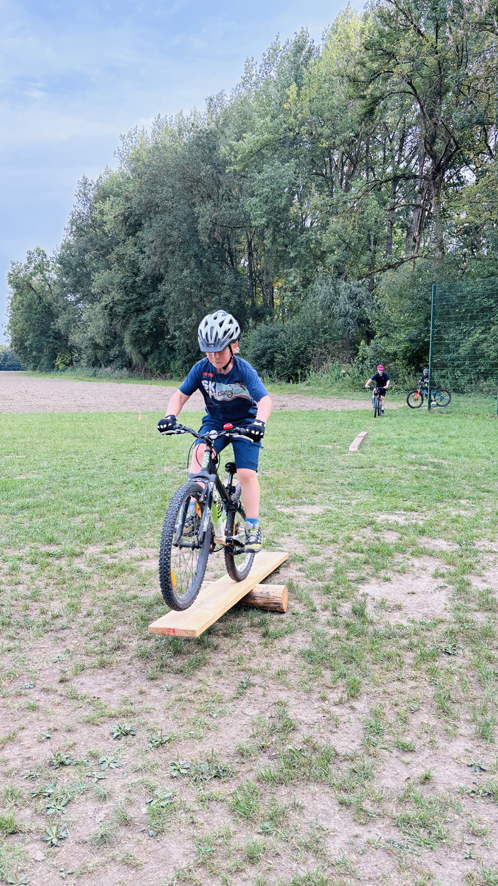 Dillingen Basic 4