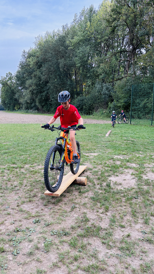 Dillingen Basic 5