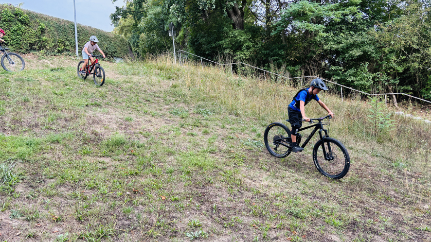 Dillingen Basic 6